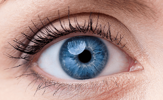 retina-treatment retina-treatment