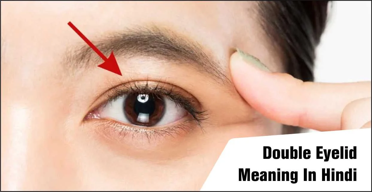 Double eyelid meaning in Hindi